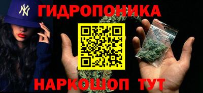 бошки Кимры
