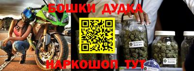 твердый Кингисепп