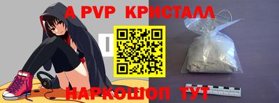 твердый Кингисепп