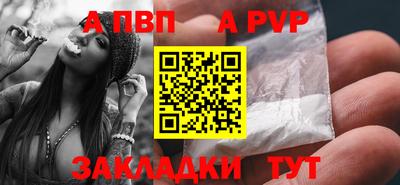 твердый Кингисепп