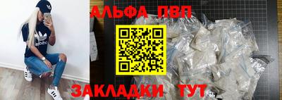 твердый Кингисепп