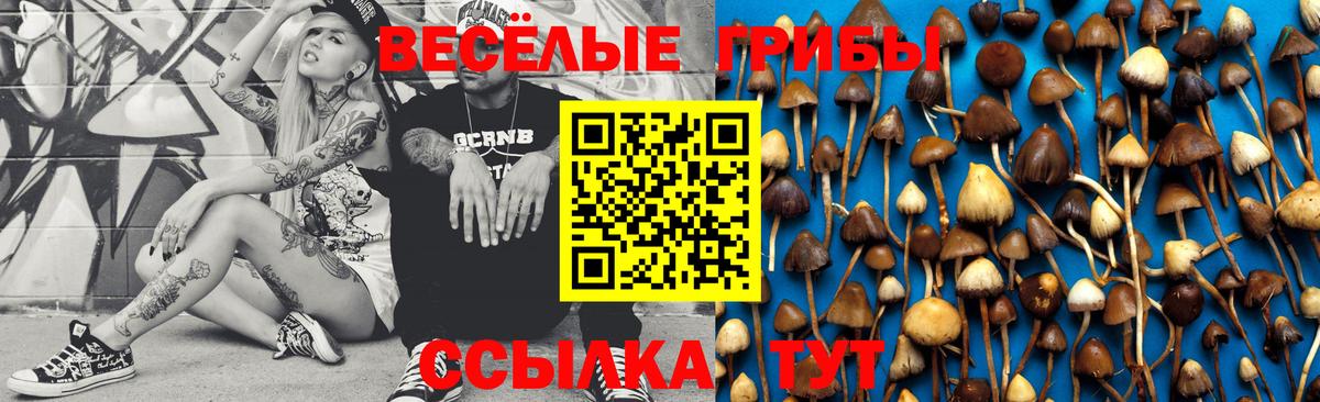 Галлюциногенные грибы ЛСД Балтийск